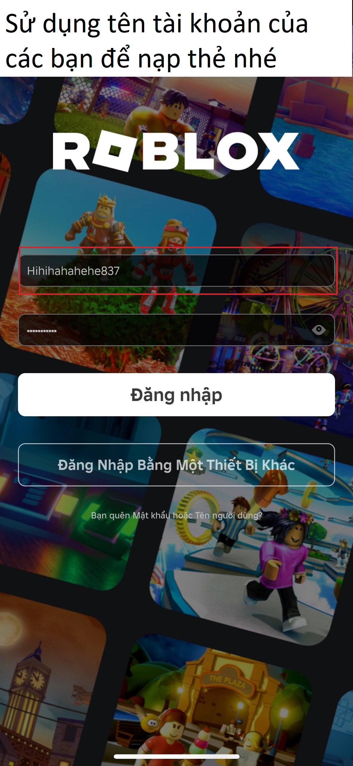 Hướng dẫn